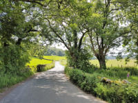 irgendwo im Lake District