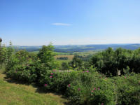 Blick vom Schloss Augustusburg