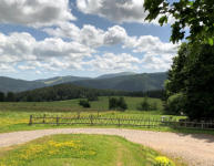 Blick von der Halde auf den Feldberg