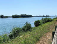 der Rhein / Grenze FRA-DE