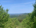 Sauerland
