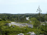 Von Halifax nach Peggy's Cove