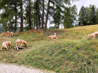 Naturpfad Troi Unica