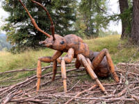 Naturpfad Troi Unica