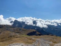 Blick auf den Rosengarten