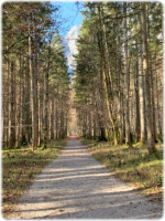 Wanderung zur Eiskapelle