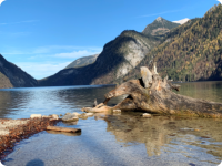 noch einmal der Königssee