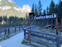 Zauberwald am Hintersee