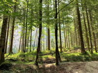 Auf dem Weg zur Wimbachgrieshütte