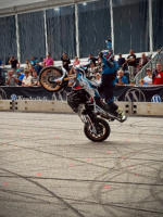 Stuntshow Dirk Manderbach