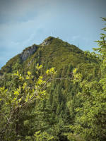 Ziel im Blick - Martinskopf